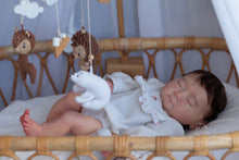 Load image into Gallery viewer, BLANK vinyl kit Meimei by Irina Kodrashova (includes: vinyl head, full legs, 3/4 arms &amp; fabric body, COA &amp; SHIPPING)
