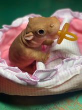 Load image into Gallery viewer, AVAILABLE Full body silicone baby Hippo
