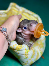 Load image into Gallery viewer, CUSTOM Full body silicone baby Hippo
