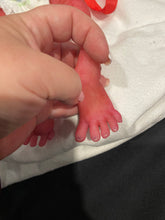 Load image into Gallery viewer, AVAILABLE AWARD WINNING Prototype full body Silicone premature baby doll Amelia (baby girl ) in soft blend with HAIR
