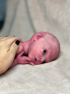CUSTOM Prototype full body Silicone premature baby doll Amelia (baby girl ) in soft blend with armatures