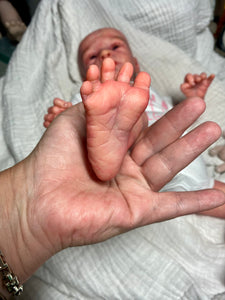 AVAILABLE Reborn baby Denver Rose AWAKE