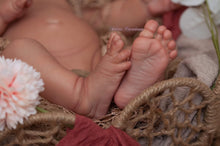 Load image into Gallery viewer, BLANK vinyl kit Meimei by Irina Kodrashova (includes: vinyl head, full legs, 3/4 arms &amp; fabric body, COA &amp; SHIPPING)
