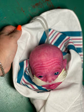 Load image into Gallery viewer, CUSTOM PROTOTYPE silicone cuddle baby Amelia in soft blend (including non gender silicone tummy plate)

