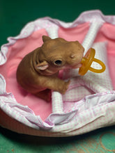 Load image into Gallery viewer, AVAILABLE Full body silicone baby Hippo
