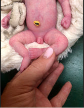 Load image into Gallery viewer, CUSTOM full body silicone mini kit Kenzo 8”  in super soft blend with 3D skin effect ROOTED
