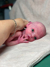 Load image into Gallery viewer, CUSTOM Prototype full body Silicone premature baby doll Amelia (baby girl ) in soft blend with armatures
