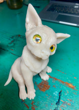 Load image into Gallery viewer, CUSTOM BLANK silicone Dog kit in soft blend platinum cure silicone
