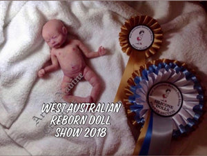 Reborn and silicone dolls by nadine sales