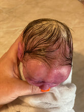 Load image into Gallery viewer, CUSTOM Full body silicone baby boy crier 12&quot; ROOTED
