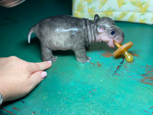 Load image into Gallery viewer, CUSTOM Full body silicone baby Hippo
