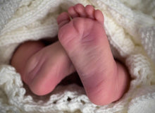 Load image into Gallery viewer, BLANK vinyl kit Kaito by Irina Kodrashova (includes: vinyl head, full limbs &amp; fabric body, COA &amp; SHIPPING)
