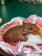 Load image into Gallery viewer, AVAILABLE Full body silicone baby Hippo
