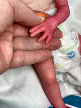 Load image into Gallery viewer, AVAILABLE Rooted Reborn premature baby Promise by Marita Winters
