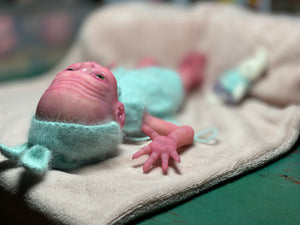 CUSTOM Prototype full body Silicone premature baby doll Amelia (baby girl ) in soft blend with armatures