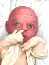 Load image into Gallery viewer, AVAILABLE PROTOTYPE silicone cuddle Ollie in soft blend
