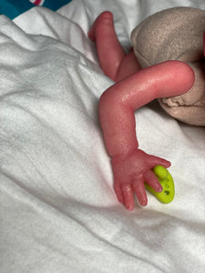 AVAILABLE Reborn mini Petunia 8” by Marita Winters