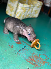 Load image into Gallery viewer, CUSTOM Full body silicone baby Hippo
