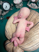 Load image into Gallery viewer, CUSTOM full body silicone baby Gracie (baby girl) in soft blend with armatures
