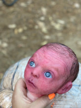 Load image into Gallery viewer, AVAILABLE PROTOTYPE silicone cuddle Ollie in soft blend with HAIR
