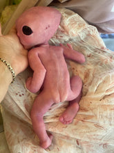 Load image into Gallery viewer, Full body silicone fantasy alien 15” baby girl
