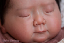 Load image into Gallery viewer, BLANK vinyl kit Meimei by Irina Kodrashova (includes: vinyl head, full legs, 3/4 arms &amp; fabric body, COA &amp; SHIPPING)
