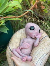 Load image into Gallery viewer, CUSTOM Full body silicone fantasy alien baby girl 12”
