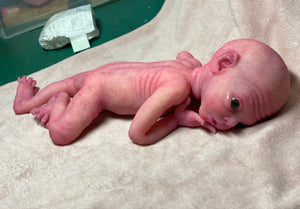 CUSTOM Prototype full body Silicone premature baby doll Amelia (baby girl ) in soft blend with armatures
