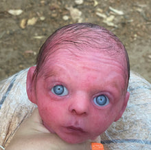 Load image into Gallery viewer, AVAILABLE PROTOTYPE silicone cuddle Ollie in soft blend with HAIR
