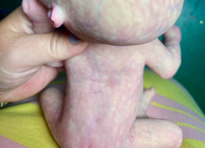 AVAILABLE prototype silicone fantasy baby girl Floki