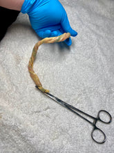 Load image into Gallery viewer, Umbilical cord in silicone (various sizes)
