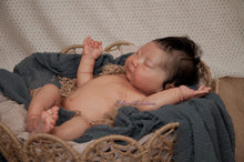 Load image into Gallery viewer, BLANK vinyl kit Kaito by Irina Kodrashova (includes: vinyl head, full limbs &amp; fabric body, COA &amp; SHIPPING)
