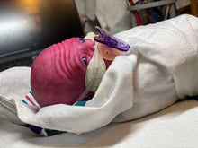 Load image into Gallery viewer, CUSTOM PROTOTYPE silicone cuddle baby Amelia in soft blend (including non gender silicone tummy plate)
