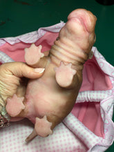 Load image into Gallery viewer, AVAILABLE Full body silicone baby Hippo
