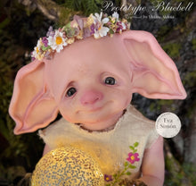 Load image into Gallery viewer, BLANK vinyl kit Bluebell by Viviane Aleluia (includes: vinyl head, full limbs, non gender belly plate, fabric body &amp; SHIPPING)
