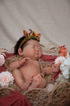 Load image into Gallery viewer, BLANK vinyl kit Meimei by Irina Kodrashova (includes: vinyl head, full legs, 3/4 arms &amp; fabric body, COA &amp; SHIPPING)
