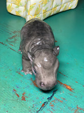 Load image into Gallery viewer, CUSTOM Full body silicone baby Hippo
