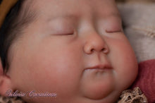 Load image into Gallery viewer, BLANK vinyl kit Meimei by Irina Kodrashova (includes: vinyl head, full legs, 3/4 arms &amp; fabric body, COA &amp; SHIPPING)
