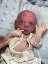 Load image into Gallery viewer, AVAILABLE PROTOTYPE silicone cuddle Ollie in soft blend
