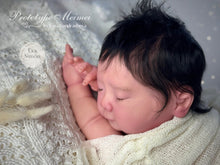 Load image into Gallery viewer, BLANK vinyl kit Meimei by Irina Kodrashova (includes: vinyl head, full legs, 3/4 arms &amp; fabric body, COA &amp; SHIPPING)
