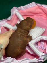 Load image into Gallery viewer, AVAILABLE Full body silicone baby Hippo
