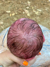 Load image into Gallery viewer, AVAILABLE PROTOTYPE silicone cuddle Ollie in soft blend with HAIR
