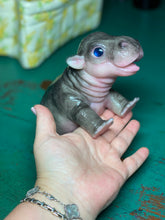 Load image into Gallery viewer, CUSTOM Full body silicone baby Hippo
