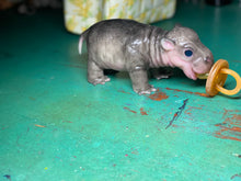 Load image into Gallery viewer, CUSTOM Full body silicone baby Hippo
