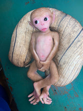 Load image into Gallery viewer, Full body silicone baby monkey Bibi in super soft marshmallow blend
