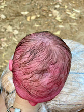 Load image into Gallery viewer, AVAILABLE PROTOTYPE silicone cuddle Ollie in soft blend with HAIR
