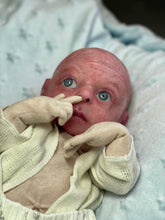 Load image into Gallery viewer, AVAILABLE PROTOTYPE silicone cuddle Ollie in soft blend
