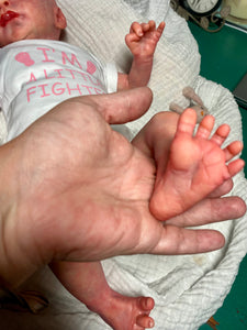 AVAILABLE Reborn baby Denver Rose AWAKE