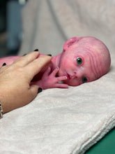 Load image into Gallery viewer, CUSTOM Prototype full body Silicone premature baby doll Amelia (baby girl ) in soft blend with armatures
