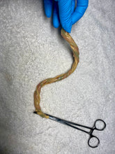 Load image into Gallery viewer, Umbilical cord in silicone (various sizes)
